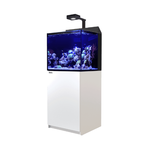 RedSea – Max E 170 Led - immagine 3