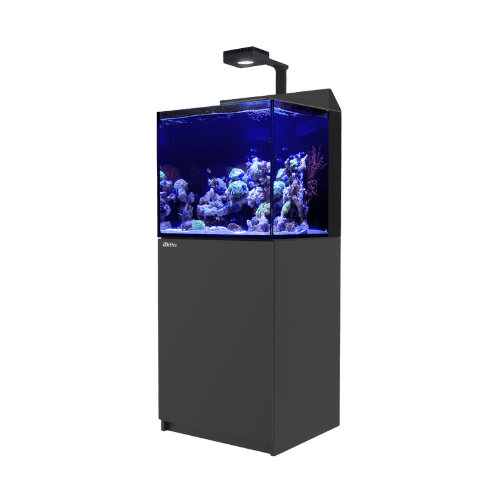 RedSea – Max E 170 Led - immagine 4
